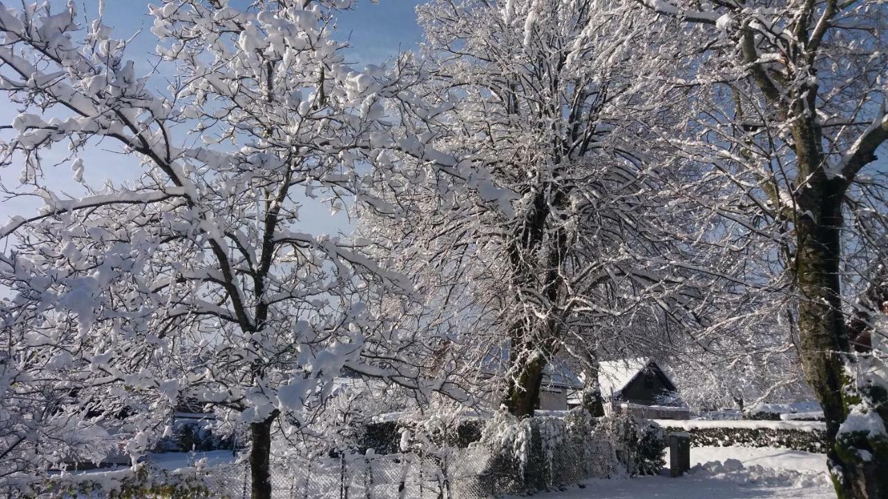 House Nenad Hotel Plitvicka Jezera Bagian luar foto